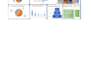 create professional excel dashboards and mis reports